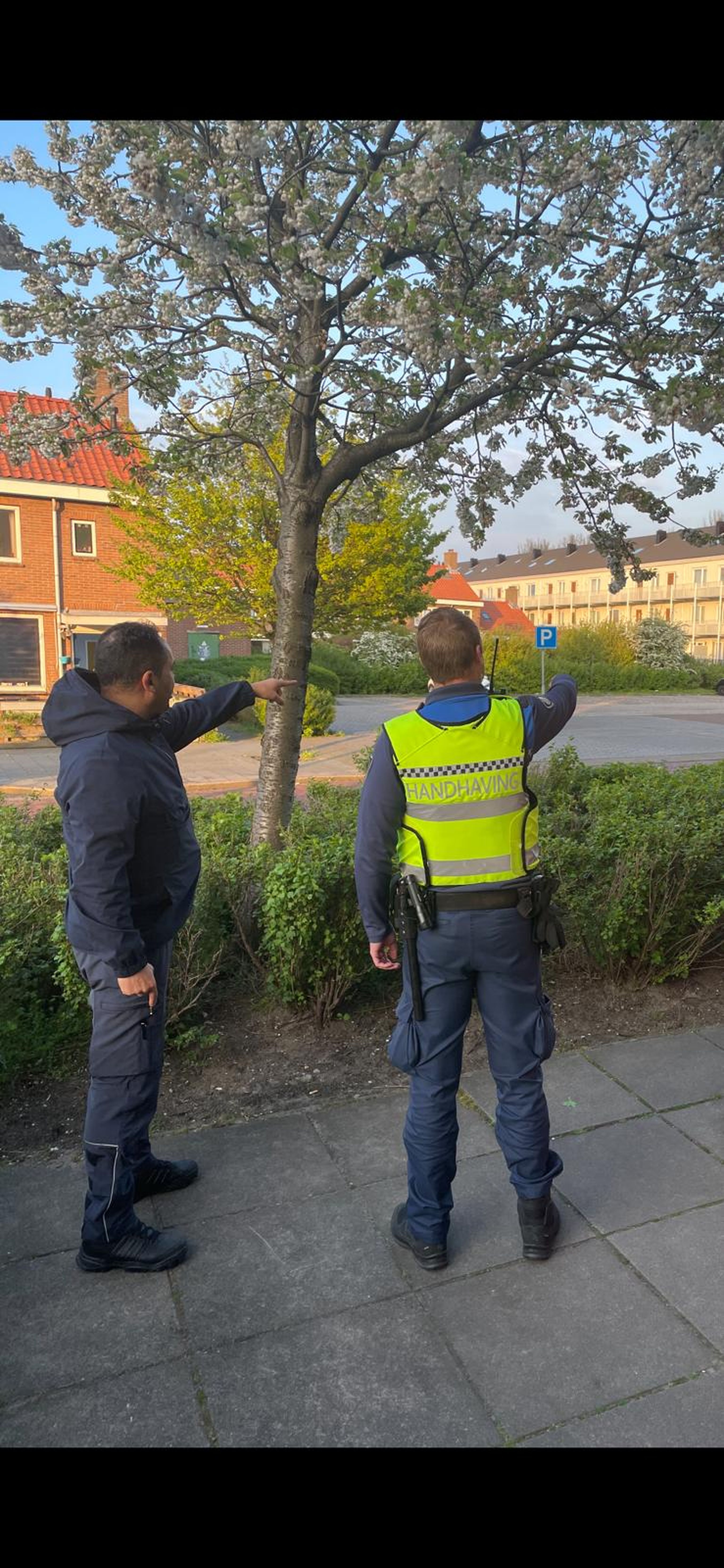 Wijkgericht_werken_wijkboa_wijk_training_contact_handhaver_BOAtrainer